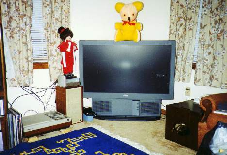 A View From the Sofa (today)